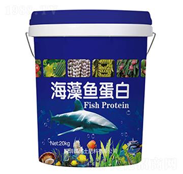 海藻魚蛋白-田博士