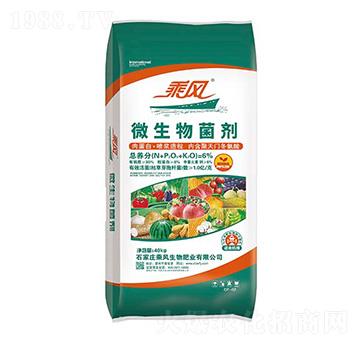 ΢�������-���L(f��ng)����