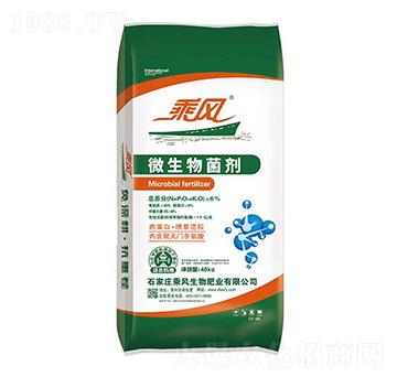 40kg΢�������-���L(f��ng)����