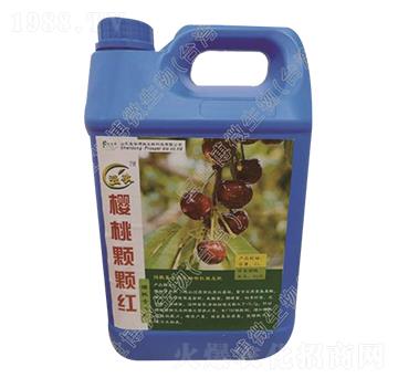 ���Ҍ���Һ�w��-�����w�w�t-������