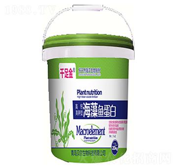 海藻魚(yú)蛋白-千足金