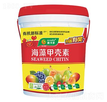 ����ך���-�W����