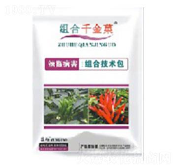 ���������M���ײ�-�M��ǧ��Ǒ-���S�r(n��ng)�Y