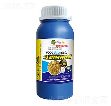 �������焩-ӯ�S�r(n��ng)�I(y��)