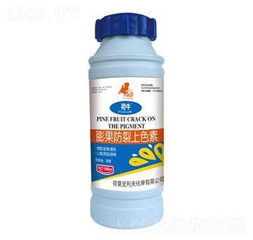 ���������ɫ��-ʷ����