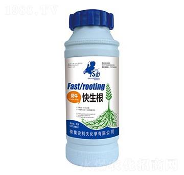 ����������-ʷ����