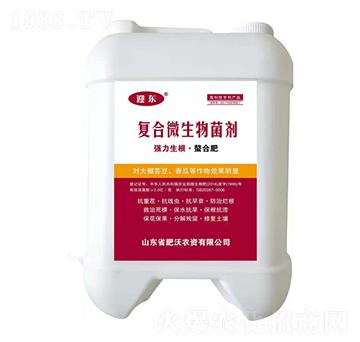 ��(f��)��΢�������-ӭ�|-�����r(n��ng)�Y