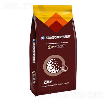 ��ጷ�24-12-12-�h��-�՘�����