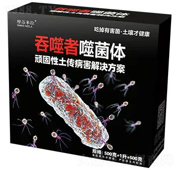 �B��������������Q����-Ħ�K����