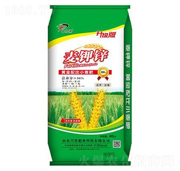 �S�����С����30-0-6-�����\-�d�l(f��)�ʘI(y��)