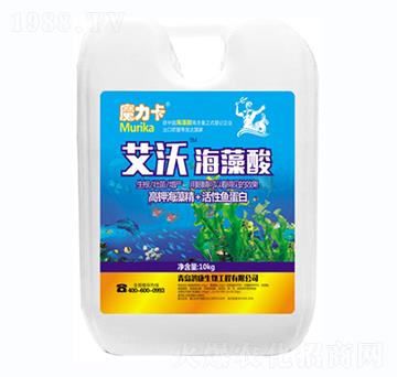 ���ֺ�����-ħ����-��������