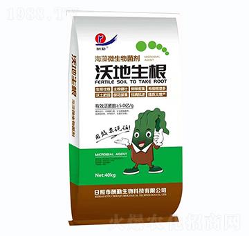 ����΢���������-�ֵ�����-����