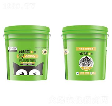 �ٸ��ͼ��ZҺ�B(t��i)�l(f��)�;���-��؈1̖(h��o)