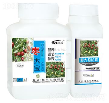 ����-������