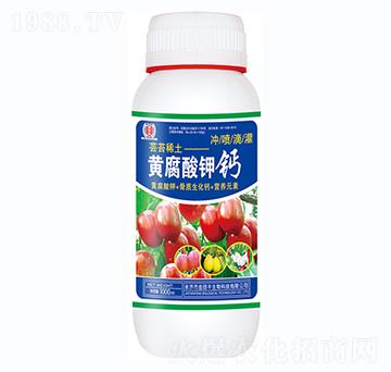 �S������}-�����S