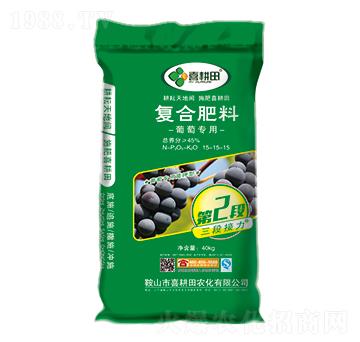 ���ь�(zhu��n)�Ï�(f��)�Ϸ���15-15-15-ϲ����