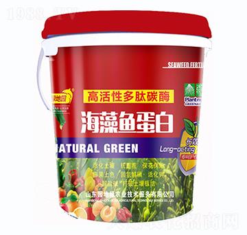 �����~����-�G�؈@