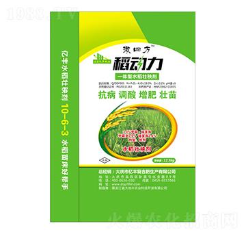 稻動(dòng)力一體型水稻壯秧劑-億豐