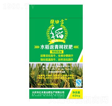 水稻返青柯杈肥-撒四方-億豐