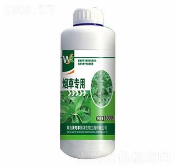 ���݌��÷�-�ֿ��S