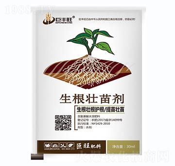 �������焩-��(zh��n)܇(ch��)