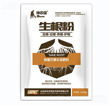 ������-��(zh��n)܇(ch��)