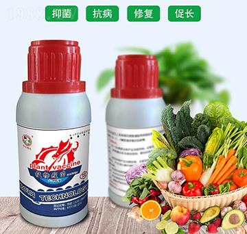 ֲ������-���r(n��ng)��(gu��)��