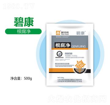 ������-�S������