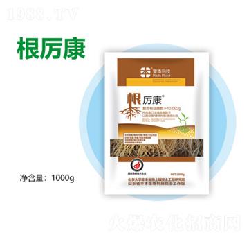 ������-�S������