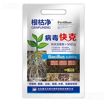 �������-���݃�-����Ԫ��