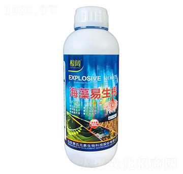 ����������-���-����Ԫ��