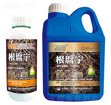 ������-������-����Ԫ��