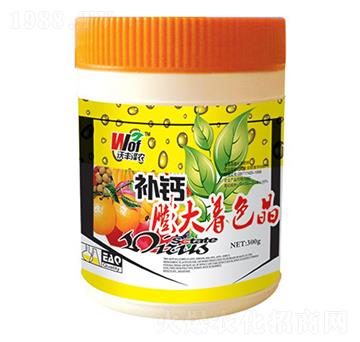 �a�}�����ɫ��-���S��