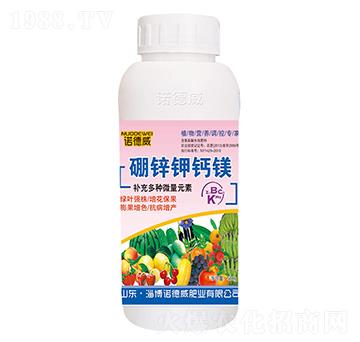 500g���\��}�V-�Z