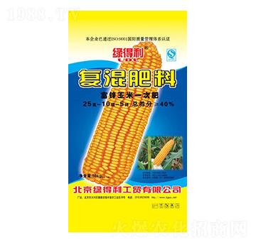 ���׌��Ï�(f��)�����25-10-5-�G����