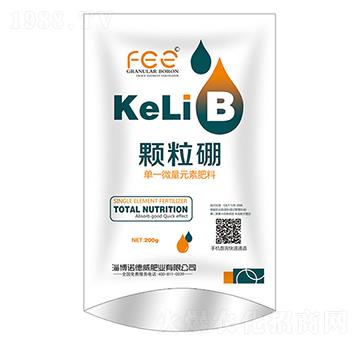 �w����-�Z����