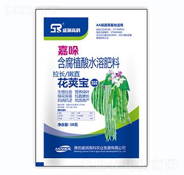 ����ֲ��ˮ�ܷ���-���v��-ʢ��(r��n)�߿�