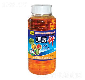 ��Ч�-�����_(d��)