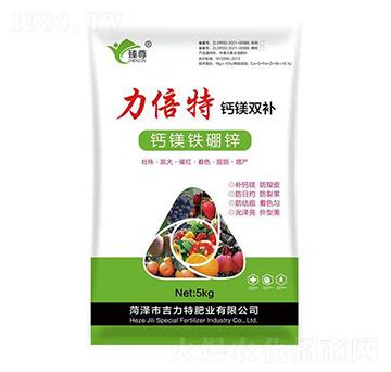 �������}�V�p�a-�����طʘI(y��)