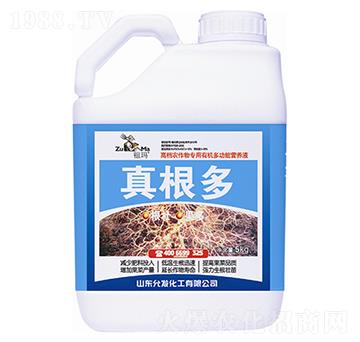 �����-�欔-�ʰl(f��)����