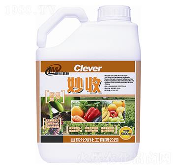 ����-�欔-�ʰl(f��)����