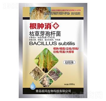 �ݲ�ѿ�ߗU��-���[��-�欔-�ʰl(f��)����