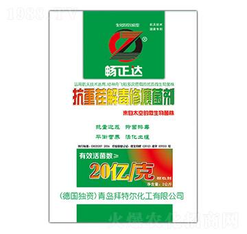 �����_���ز�ⶾ��������-���ؠ�