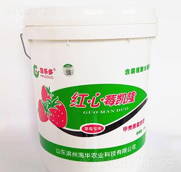 �t��ݮ�P�����_ʩ�ͣ�-���A�r(n��ng)�I(y��)