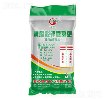 �S����������-���l(f��)-��������