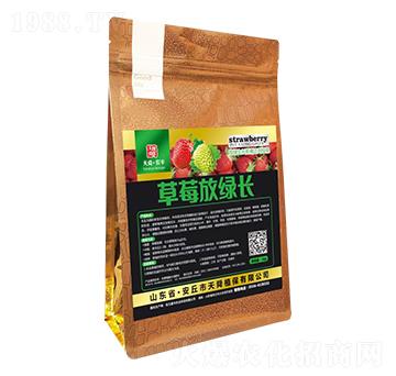 ��ݮ�žG�L-��˴���r�S-��˴ֲ��