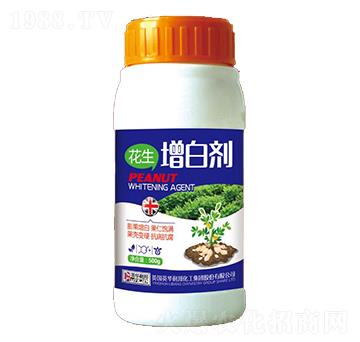 �������ׄ�-��˴ֲ��