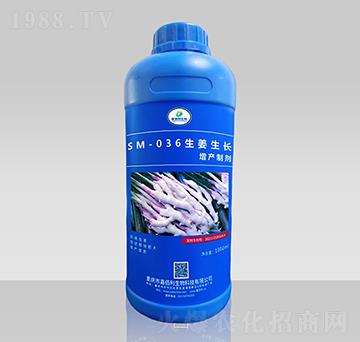 SM-036生姜生長(zhǎng)增產(chǎn)制劑（1000ml）-嘉佰利生物
