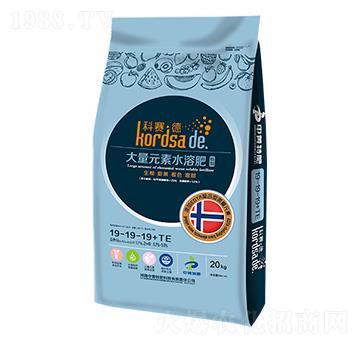 ��(j��ng)��(j��)�������L(zh��ng)�ڌ�(zhu��n)��ˮ�ܷ�19-19-19-��ِ��-�r(n��ng)������