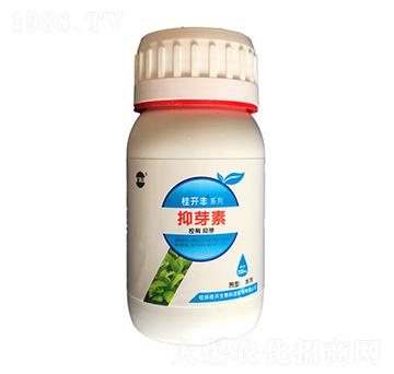 200ml桂開豐抑芽素-桂開生物